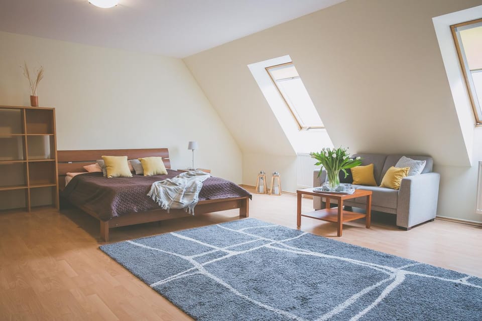 Photo of the whole room
