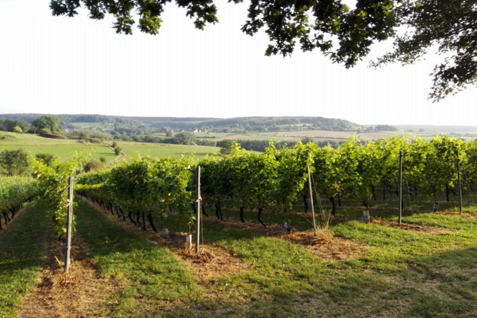 Natural landscape