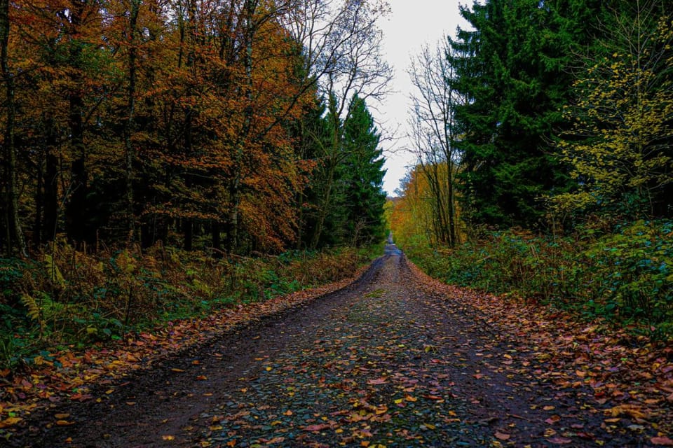 Autumn