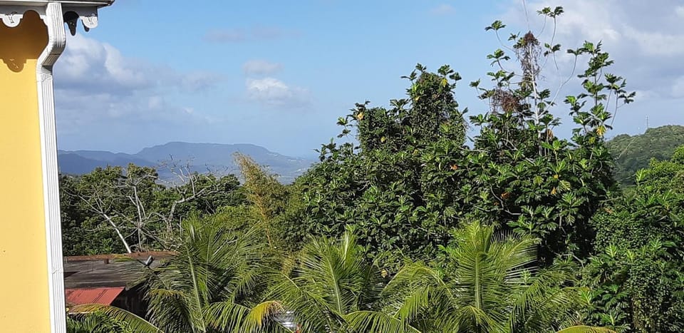 Garden view, Mountain view