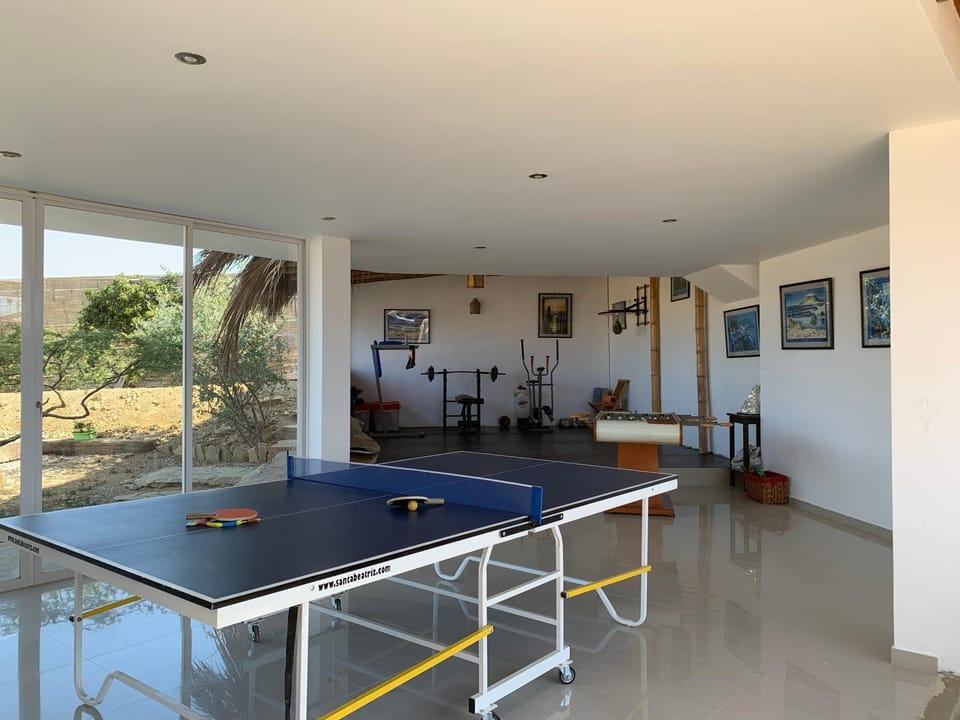 Table tennis, Table tennis
