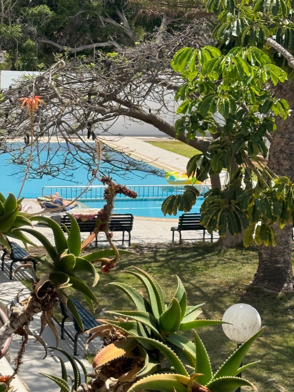 Day, Garden, Garden view, Pool view, Swimming pool, sunbed