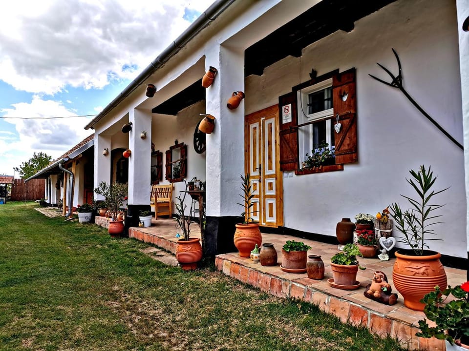 Bakonyi Kis-Lak House in Hungary