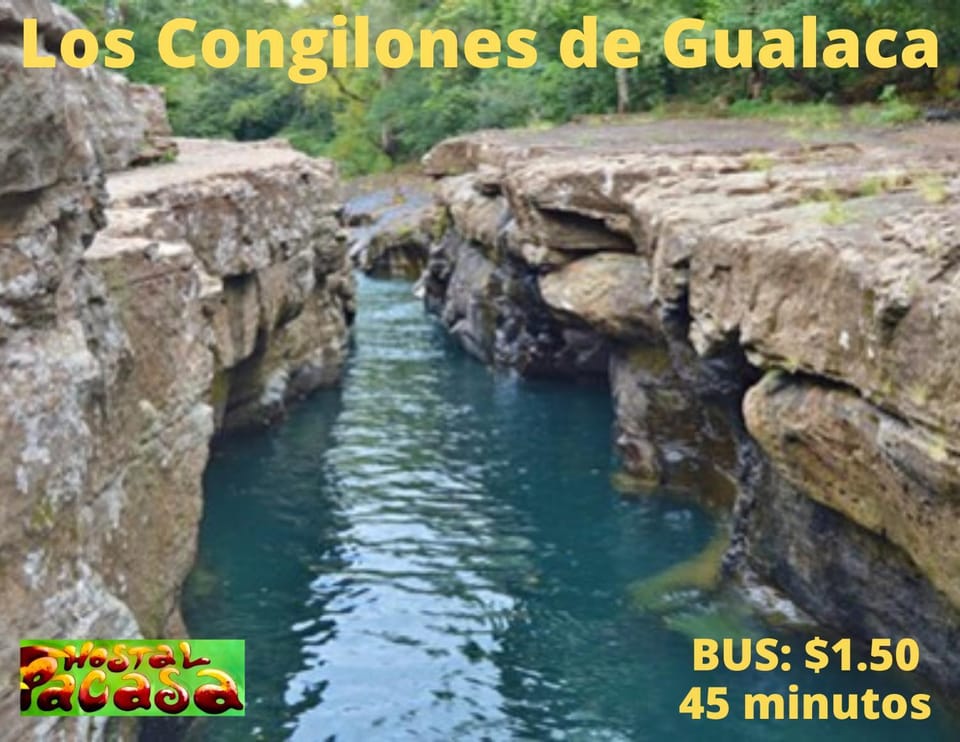 Nearby landmark, Natural landscape, Hiking, River view, Swimming pool