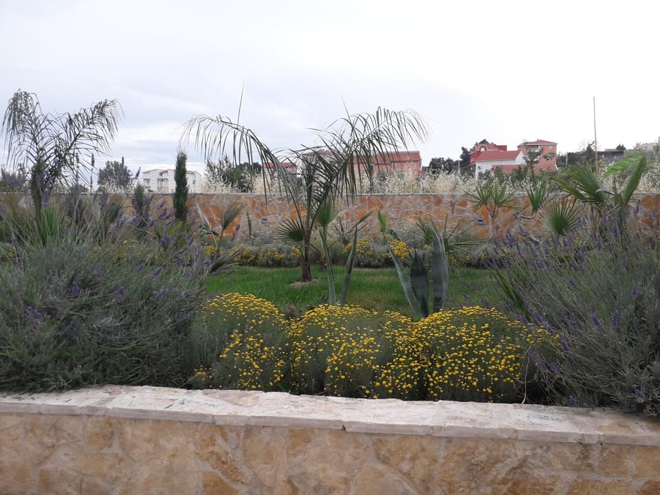 Palm paradise Apartment in Šibenik-Knin County, Croatia