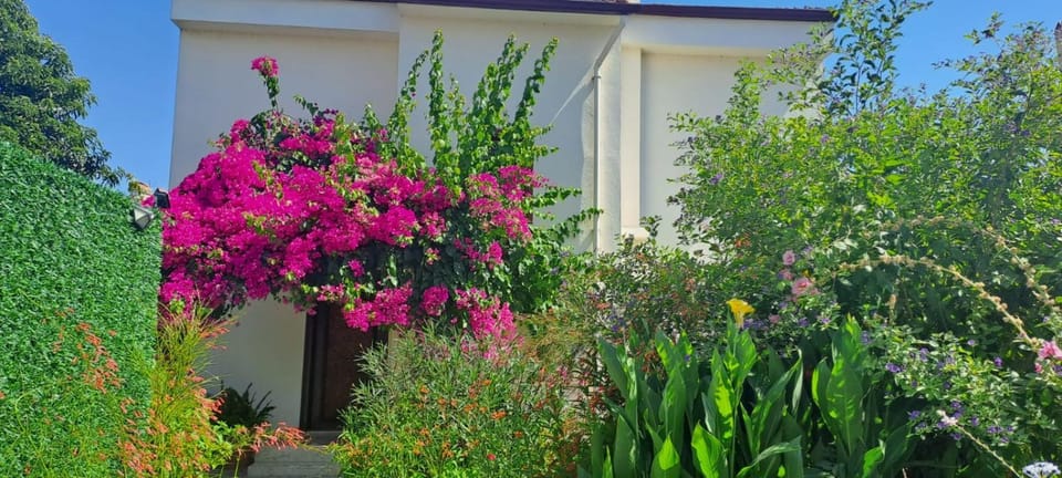 Villa Çalış Villa in Fethiye