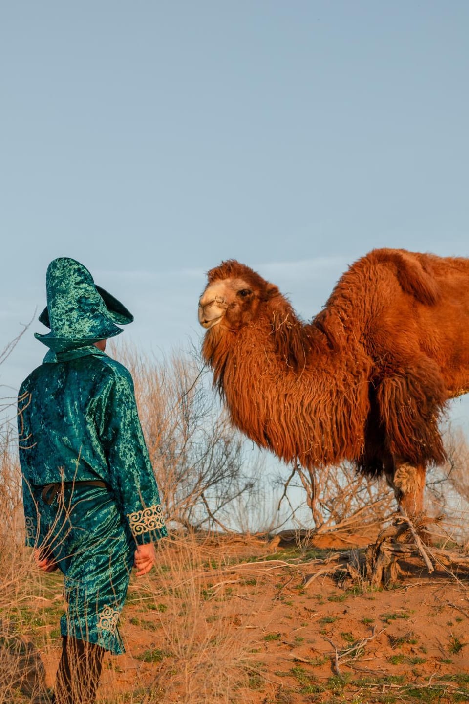 Day, People, Animals