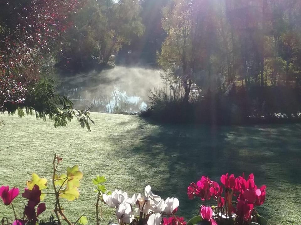Natural landscape