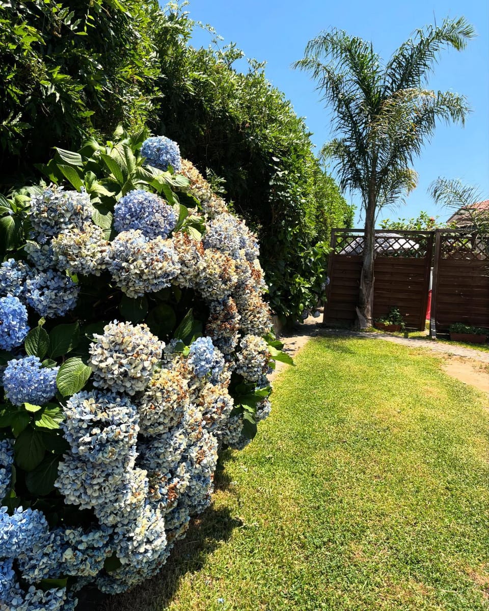 B&B Villa dei Fiori Bed and Breakfast in Calabria