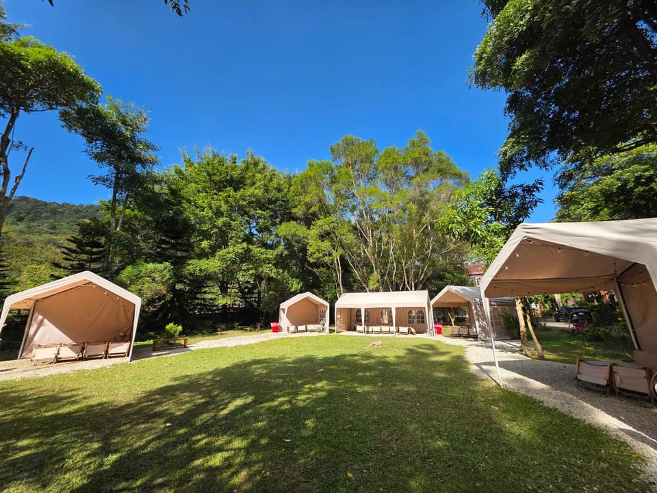 Property building, Day, Natural landscape, Garden view