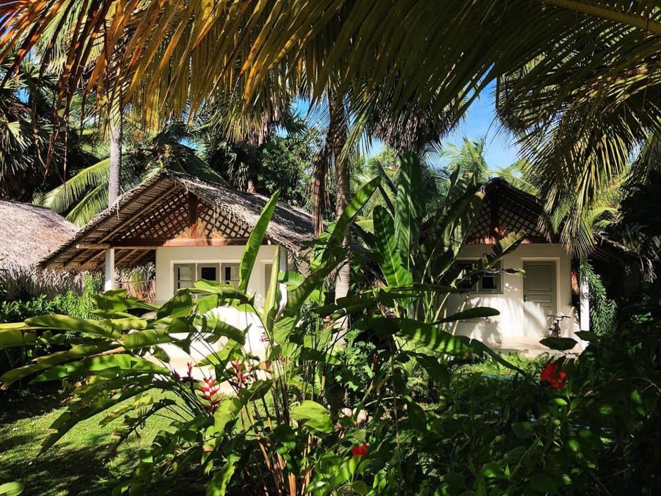 Property building, Garden, Garden view