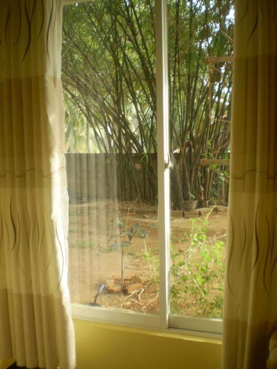 Garden view