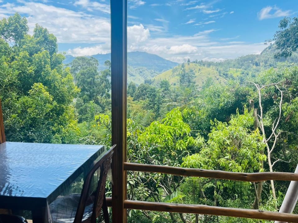 Natural landscape, View (from property/room), Balcony/Terrace, Mountain view