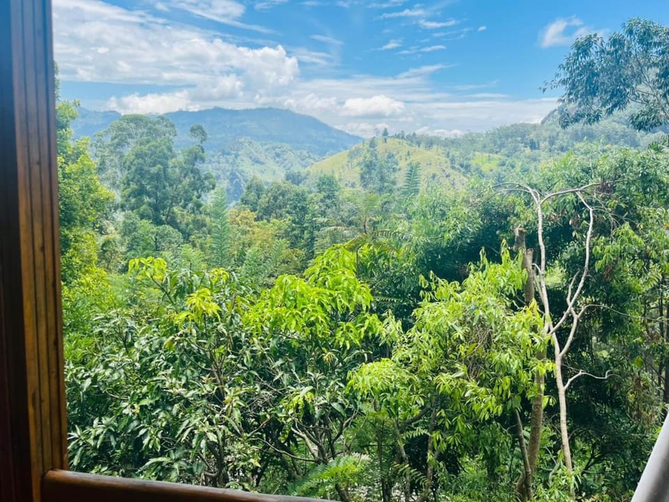 Natural landscape, Mountain view