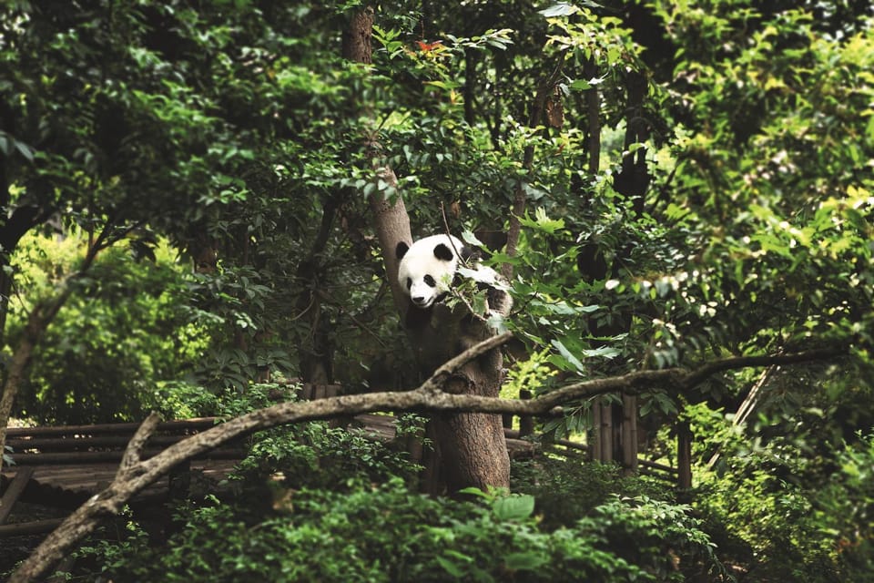Natural landscape