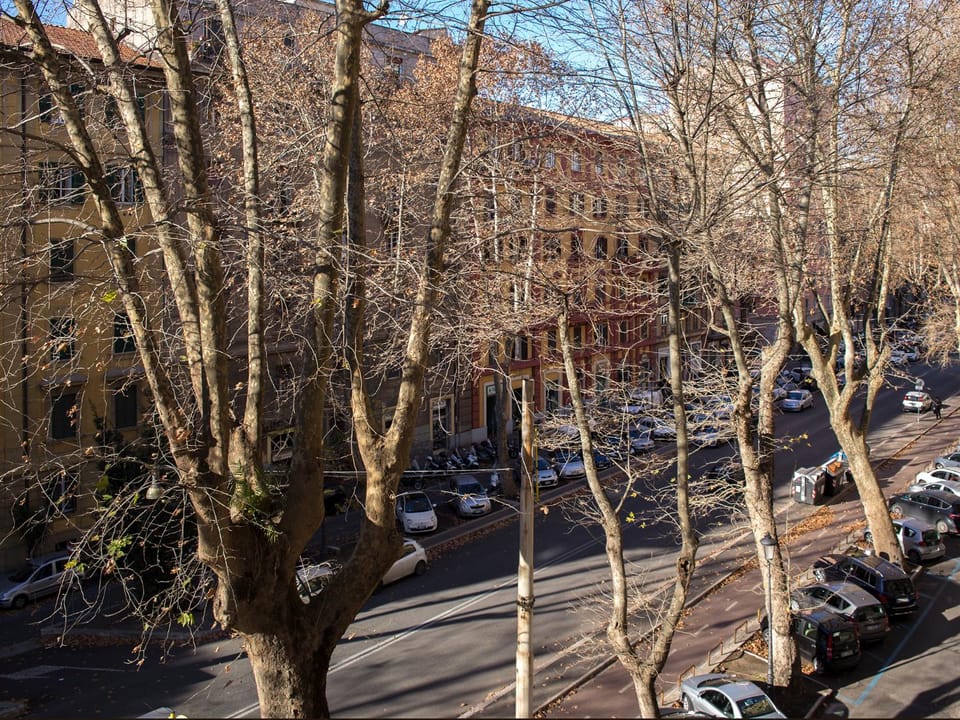 City view