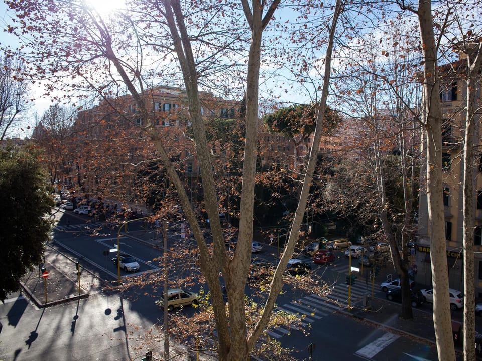 City view