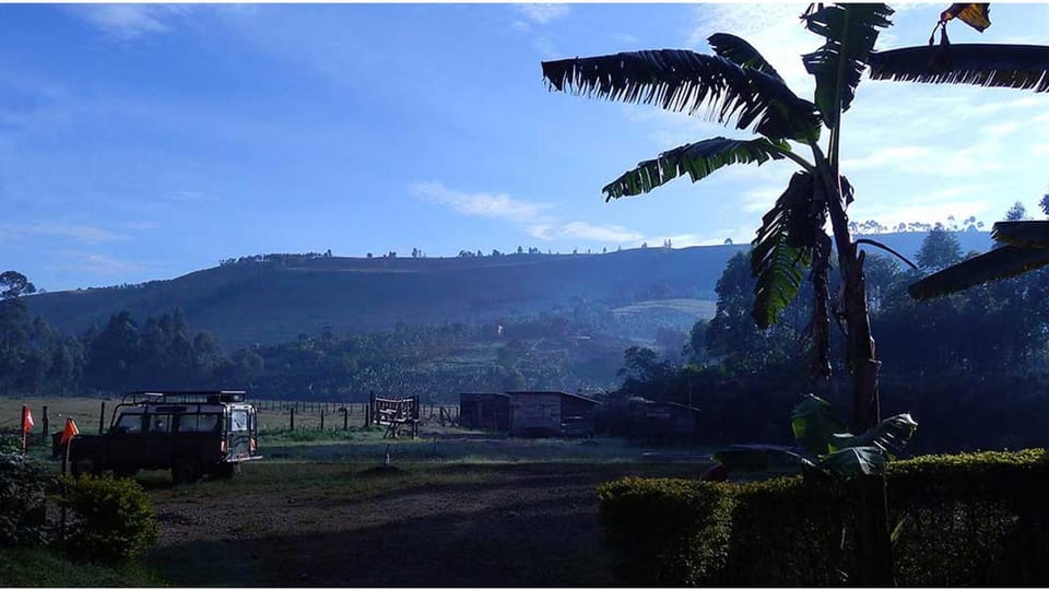 Natural landscape