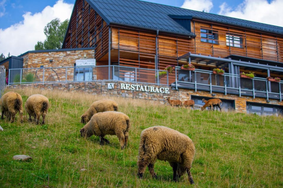Property building, Restaurant/places to eat, Day
