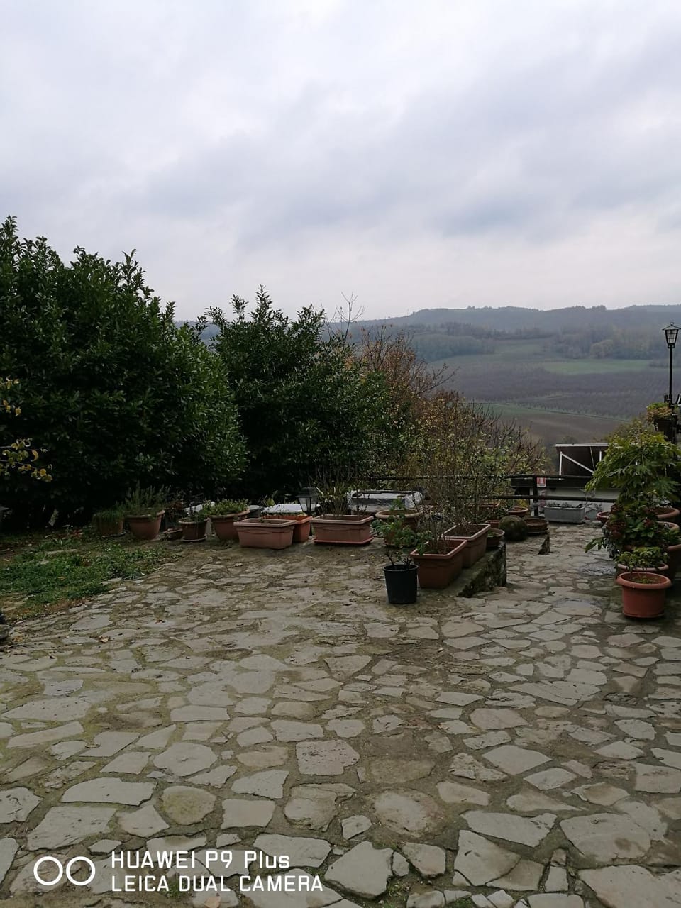 Agriturismo Davide Farm Stay in Liguria