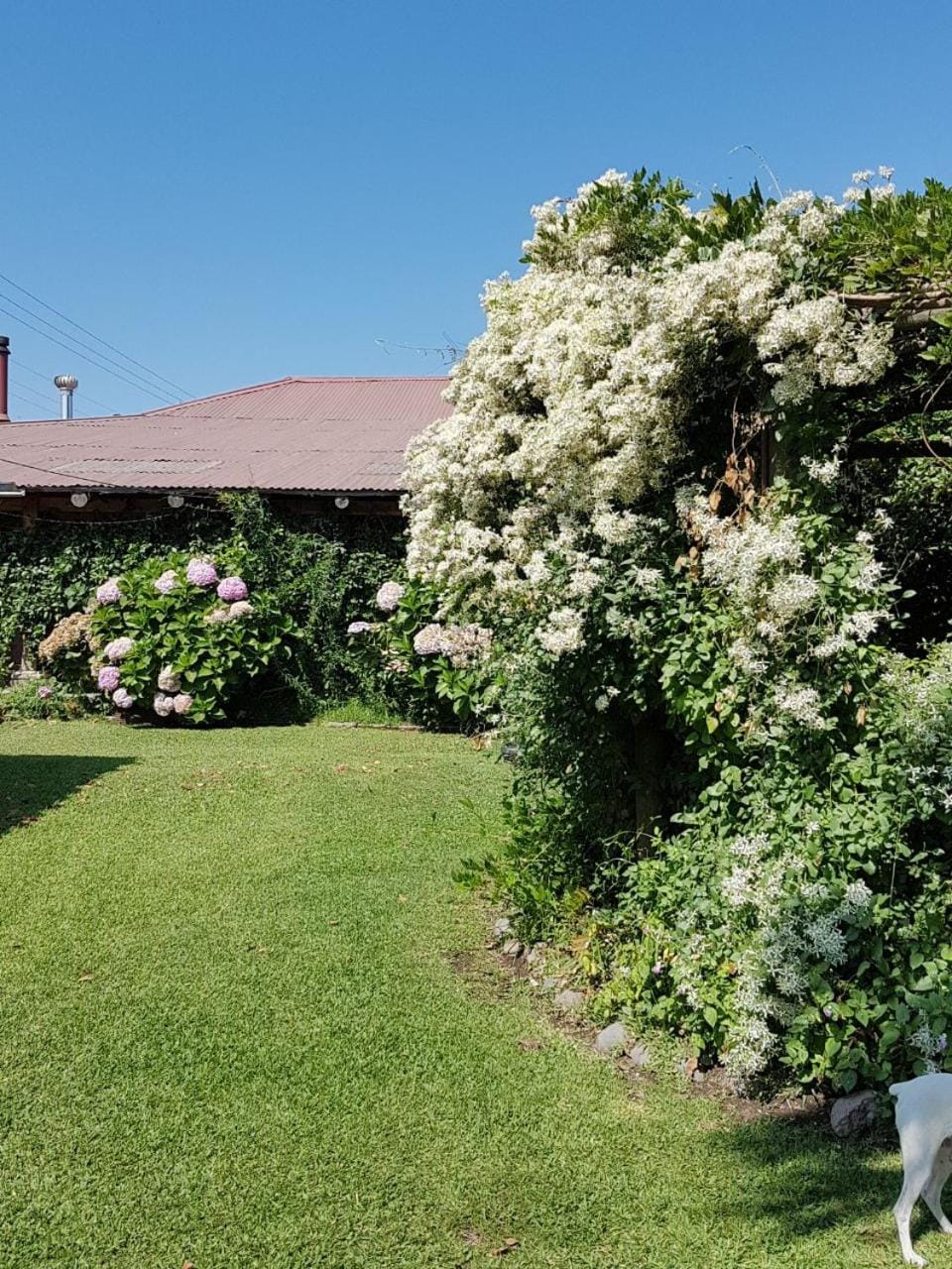Sta. Marta B&B Bed and Breakfast in O'Higgins, Chile