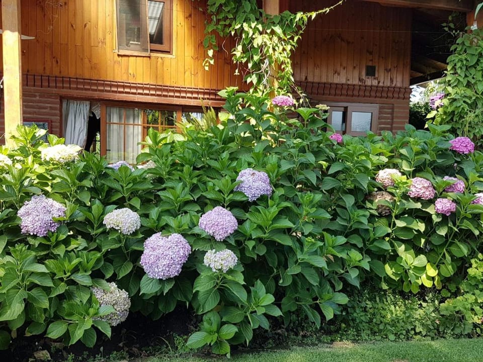 Sta. Marta B&B Bed and Breakfast in O'Higgins, Chile