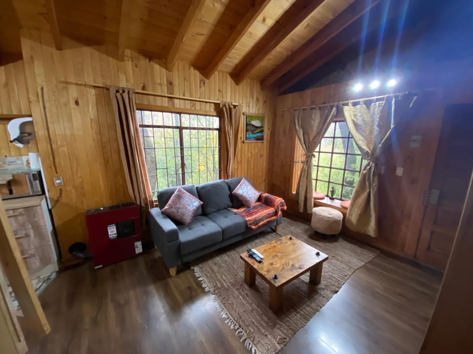 Cabañas Boutique - El Renegado Y Rustica House in Bio Bio, Chile