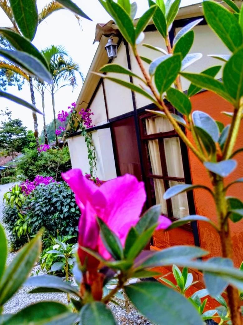 Cabañas La Honda Chalet in Antioquia