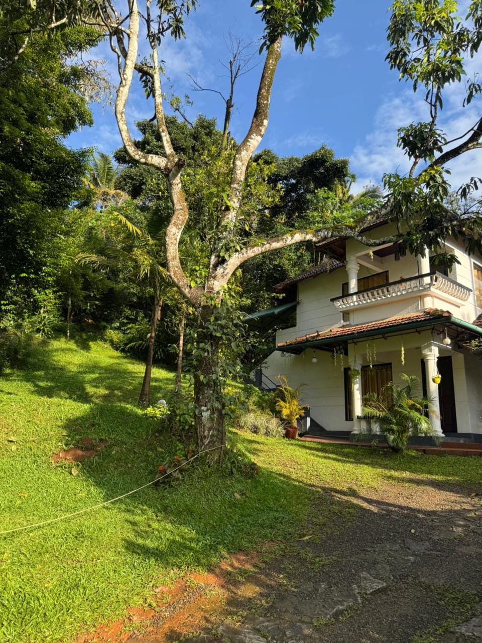 Thoppil Homestay Munnar Vacation rental in Kerala