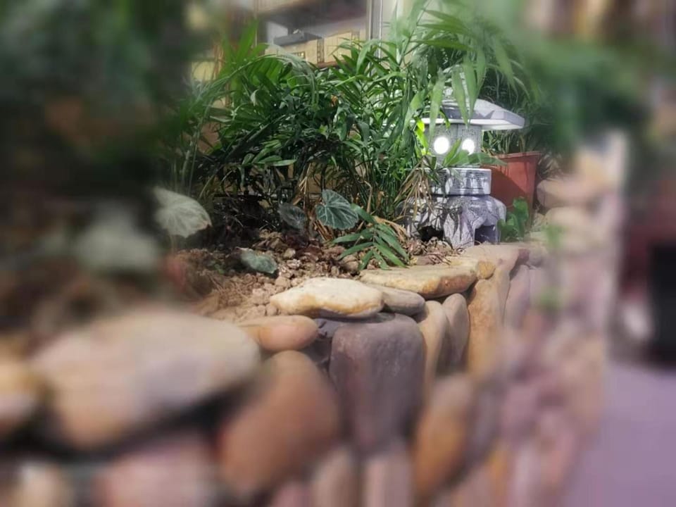 Natural landscape