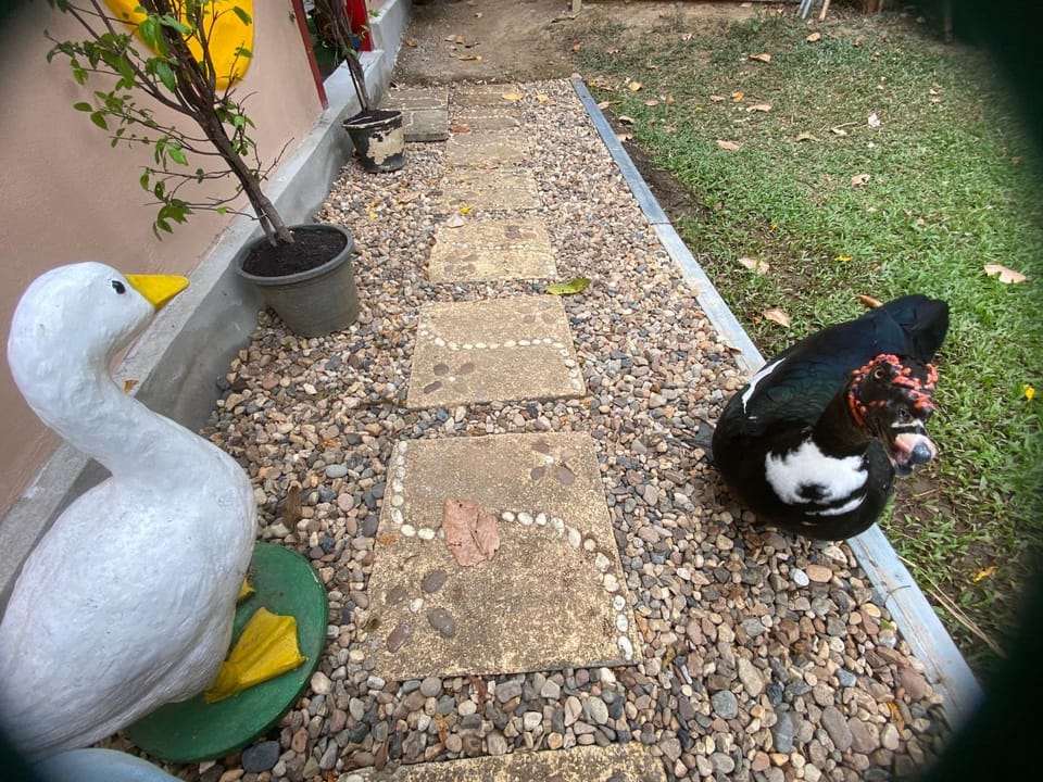 Chiang Dao Story Camp Bed and Breakfast in Thailand