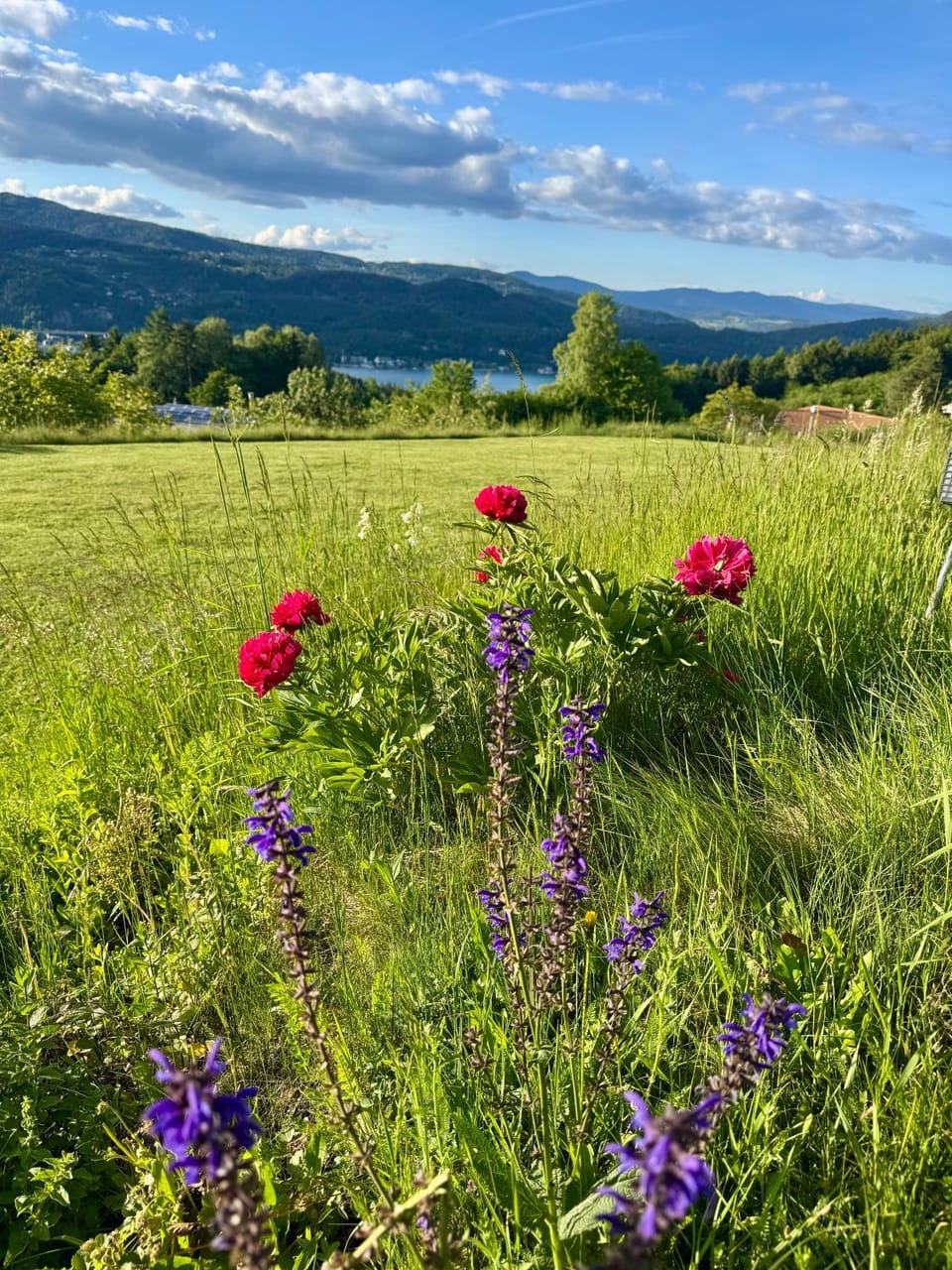 Danny's Wörtherseeblick Apartment in Carinthia, Austria