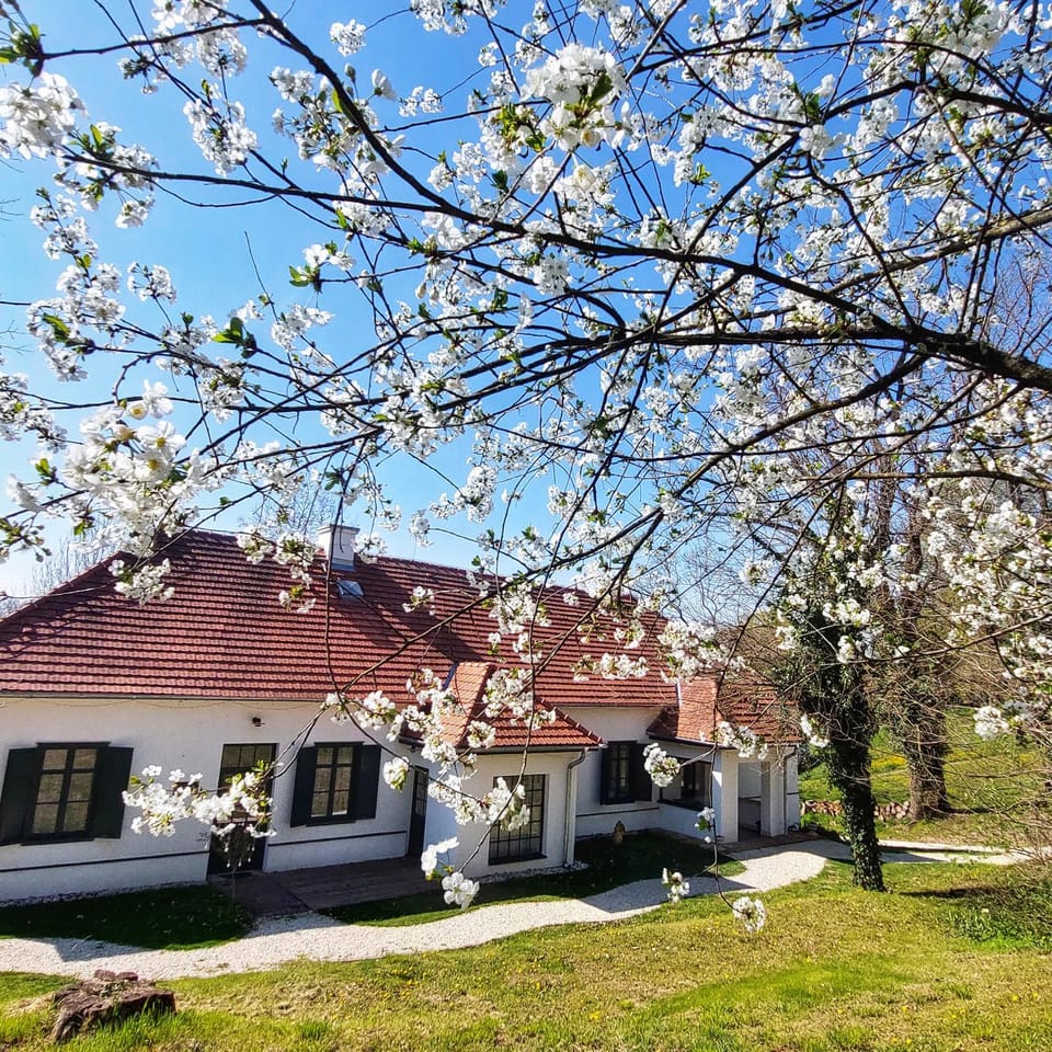 VILLABOGArT Esküvő-és Rendezvényhelyszín House in Hungary