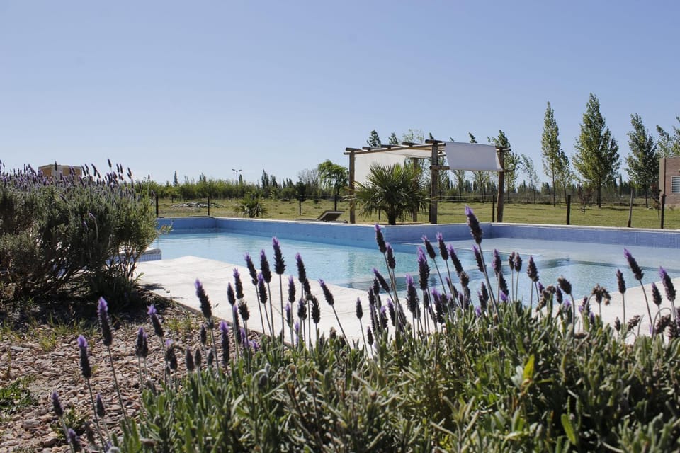 Natural landscape, Garden, Garden view, Pool view, Swimming pool