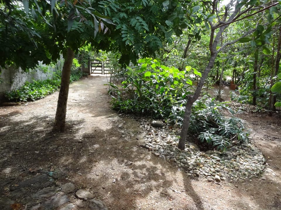 Garden view