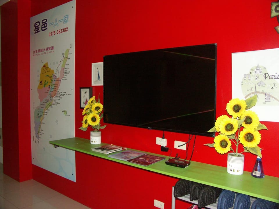 TV and multimedia