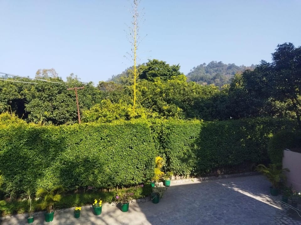 View (from property/room)