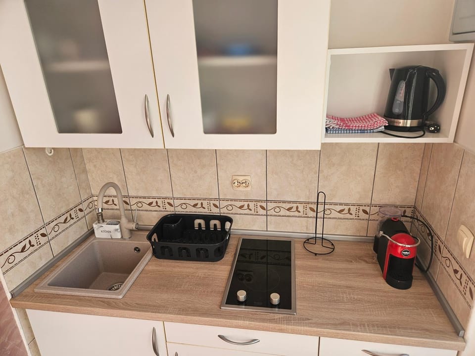 Coffee/tea facilities, Kitchen or kitchenette, minibar, stove