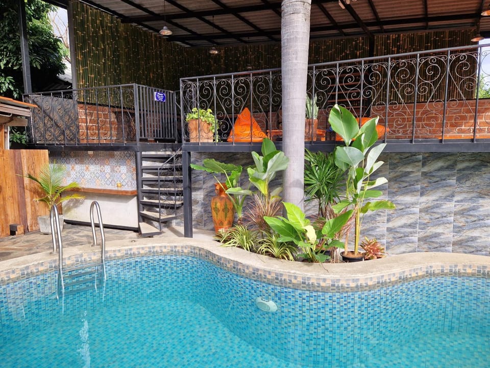 Balcony/Terrace, Swimming pool, Entertainment, sunbed