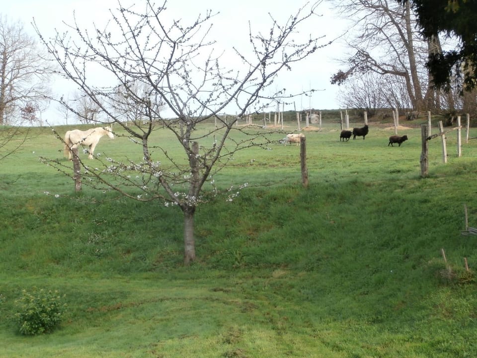 Gîte Bois Gaillard Bed and Breakfast in Pays de la Loire