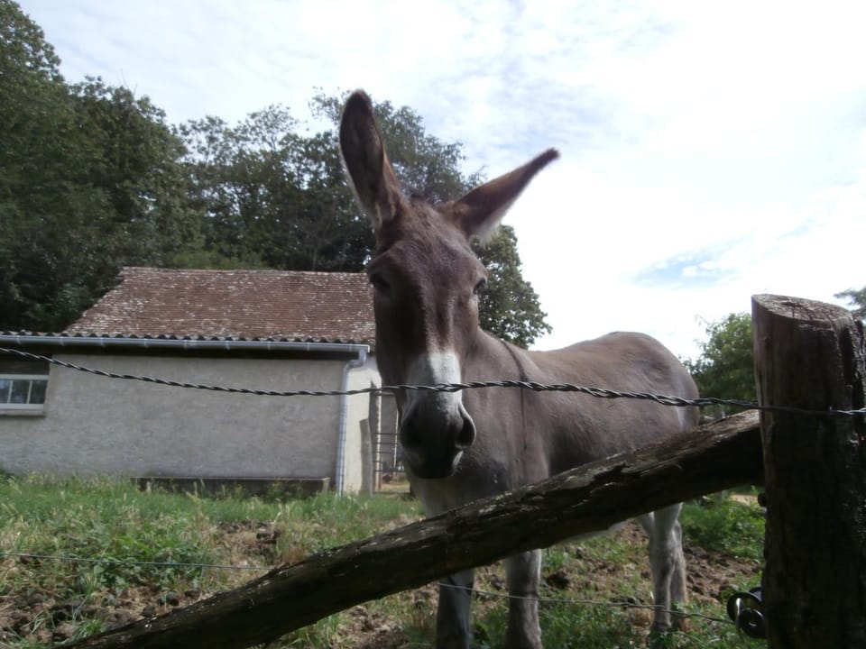 Gîte Bois Gaillard Bed and Breakfast in Pays de la Loire