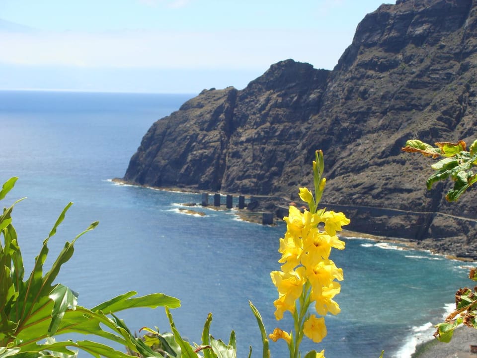 Viviendas Vacacionales Jardín La Punta House in La Gomera
