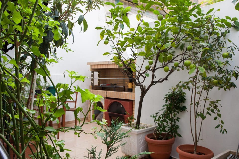 Patio, Garden, Garden view