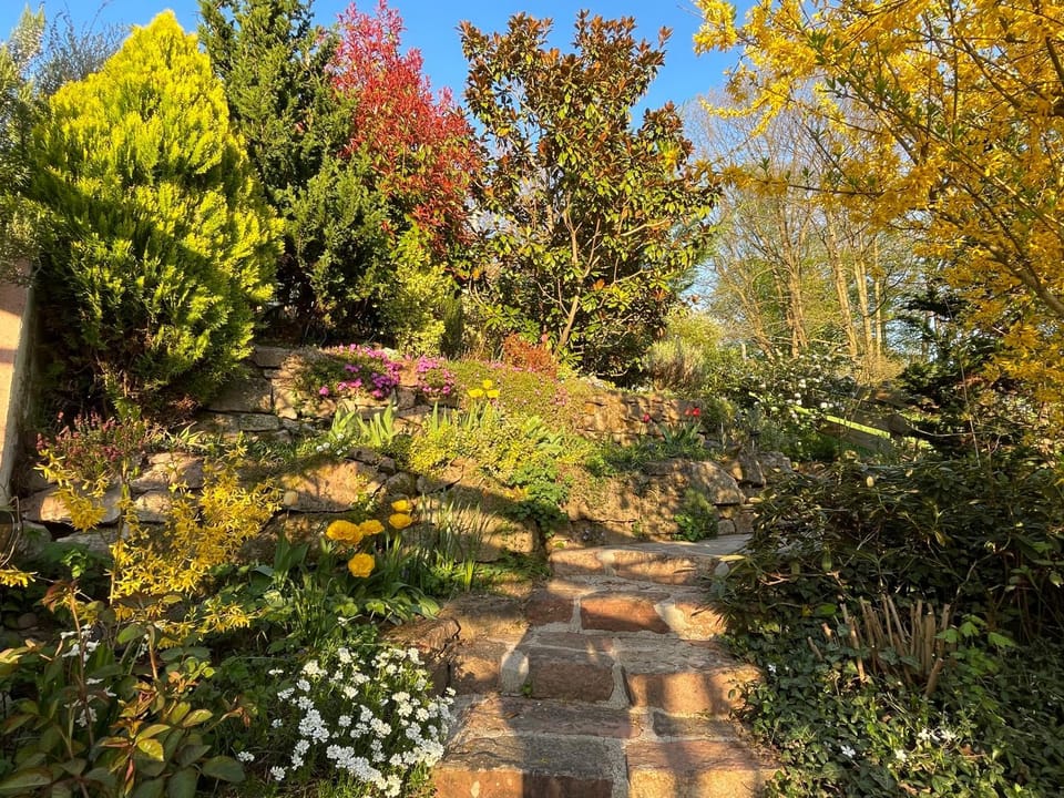 Spring, Garden, Garden view