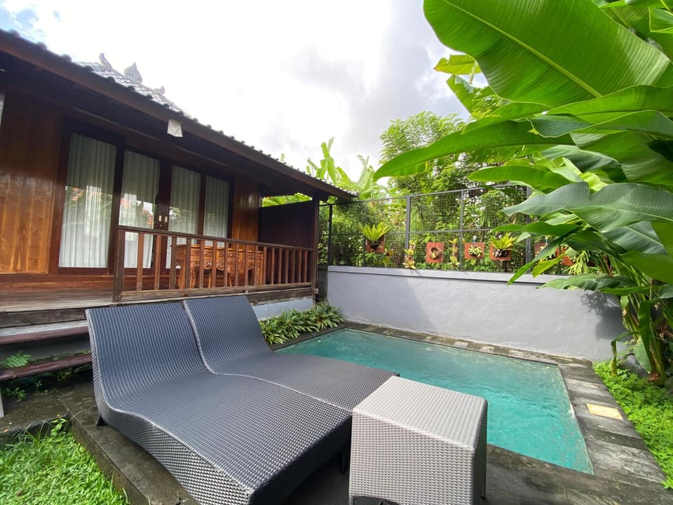 Day, Garden, Pool view, Swimming pool