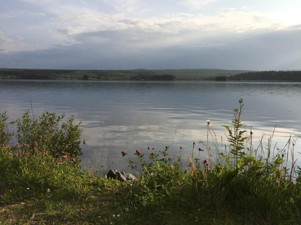 Natural landscape