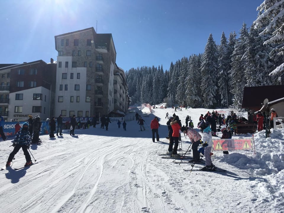 Day, People, Winter, Skiing, group of guests