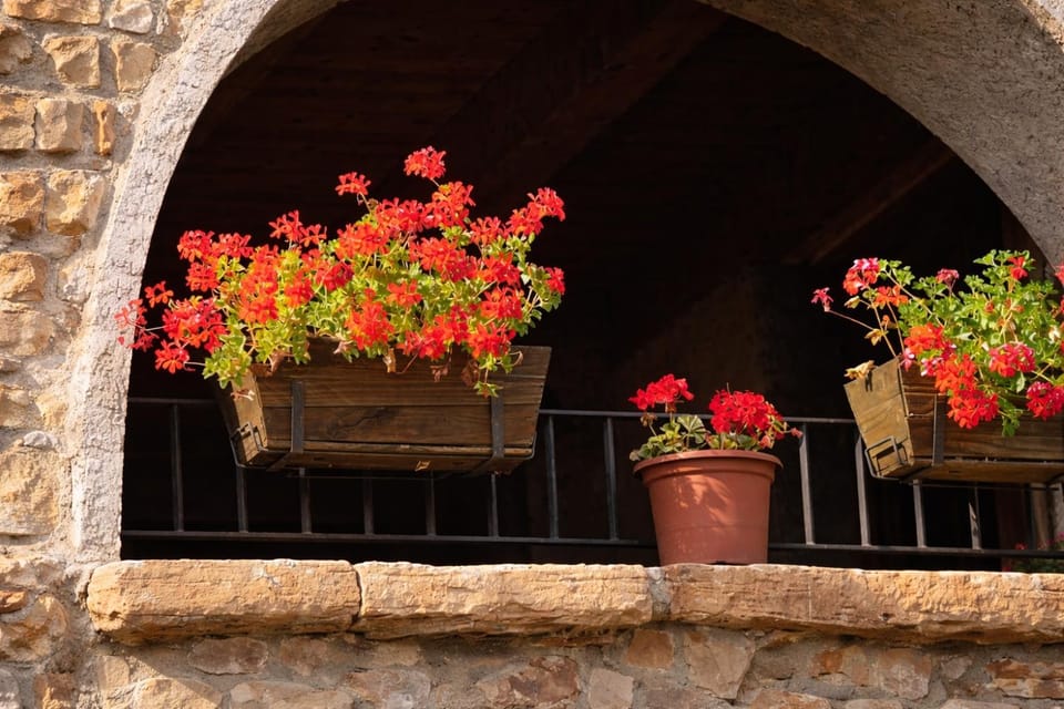 Balcony/Terrace, Decorative detail, Time of day
