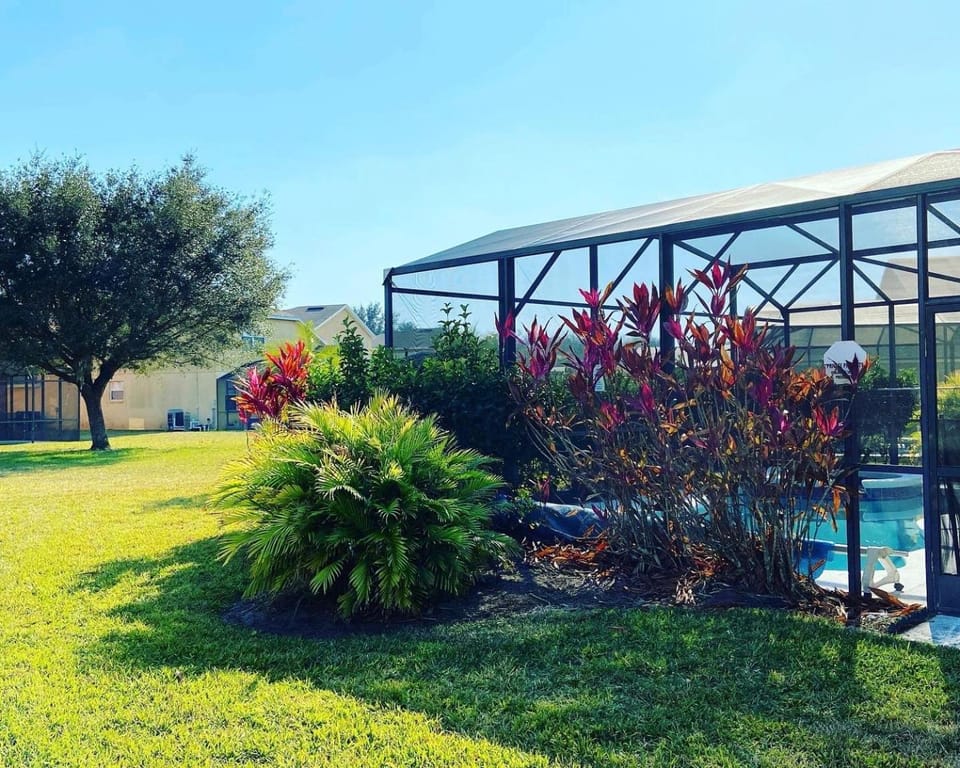 Natural landscape, Pool view, Swimming pool