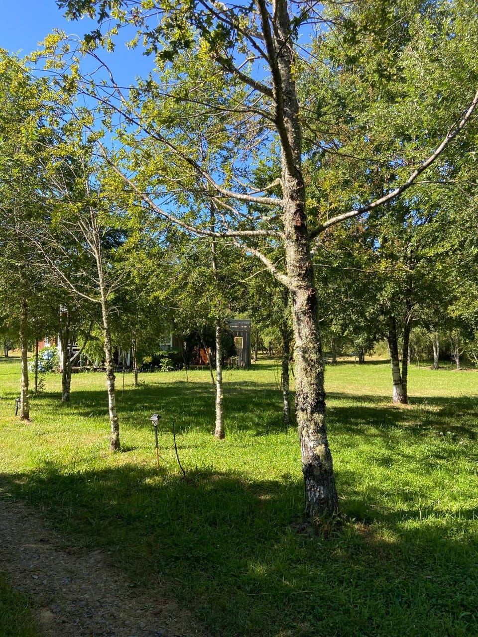 Cabañas Campestres Villarrica Campground/ 
RV Resort in Araucania, Chile